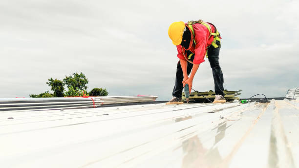 Best Commercial Roofing Services  in Pantego, TX